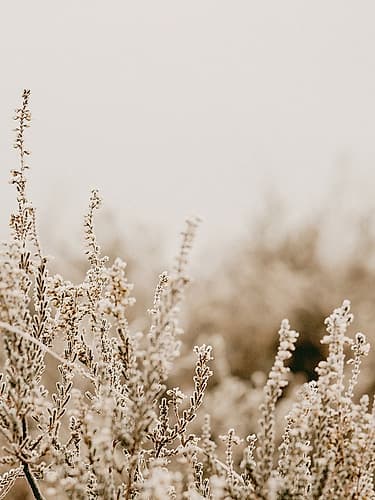 A Light Glow Art Print by Leah Straatsma