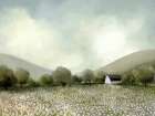 White Barn And Wildflowers Art Print