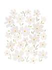 The Daisy Field Art Print