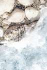 Rocky Shore 1 Art Print