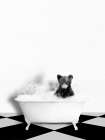 Bear In Bath Art Print
