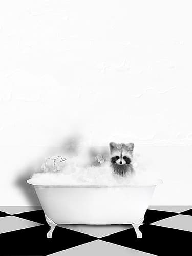 Raccoon In Bath Art Print