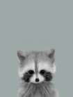 Sage Racoon Art Print