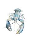 Blue Lobster Art Print