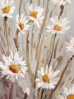 Sunny Daisies Art Print