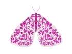 Flourished Pink Moth Art Print
