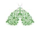 Flourished Green Moth Art Print