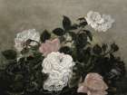 Vintage Roses Art Print