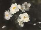 Wilting Peonies Art Print