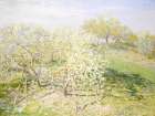 Vintage Apple Orchard Art Print