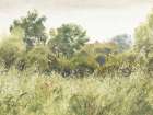Vintage Trees And Fields Art Print