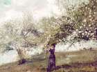 Vintage Gathering Blossoms Art Print