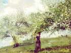 Vintage Gathering Blossoms Art Print