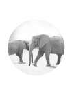 Circle Grey Elephants Art Print