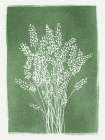 Pressed Lavender Art Print