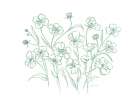 Vintage Wildflower Sketch Art Print