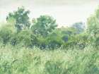 Vintage Trees And Fields Art Print