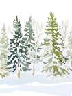 Evergreens Art Print
