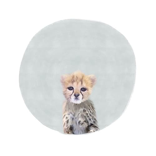 Baby Cheetah Gray Animaux reproduction