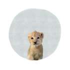 Baby Lion Circle Gray Art Print