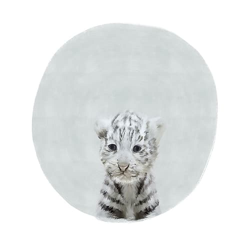 Baby White Tiger Gray Art Print