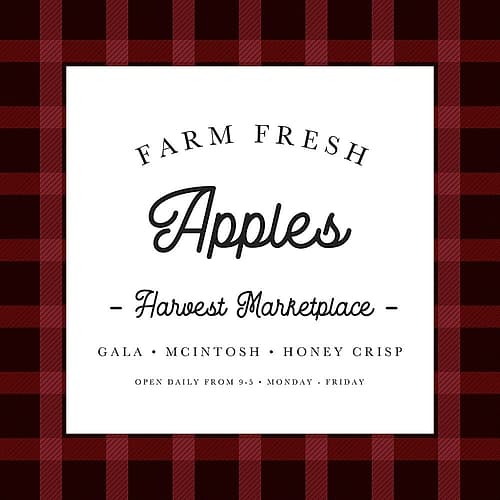 Red Farm Fresh Apples Art Print