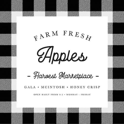 Farm Fresh Apples Buffalo Check Art Print