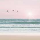 Pinky Beach With Birds 2 Art Print