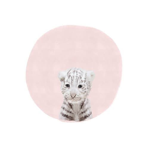 Baby White Tiger Pink Art Print