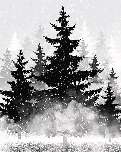 Misty Pines 2 Seasons Print