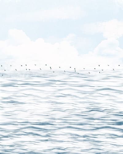 Silvery Morning Rectangle Coastal Print