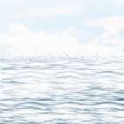 Silvery Morning 2 Art Print