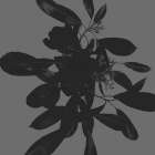 Botanical Light 1 Art Print
