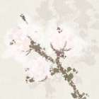 Cotton Boll 2 Art Print