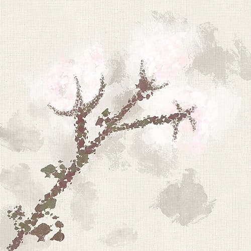 Cotton Boll 3 Art Print