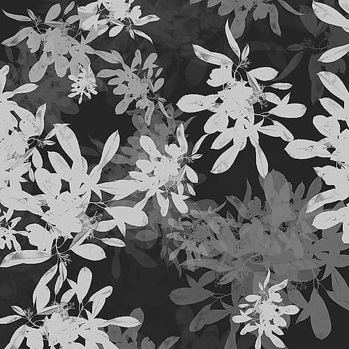 Foliage Dark 2 Nature Print