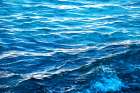 Cool And Calm Art Print