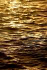 Glowing Golden Sea Coastal Print