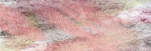 Smeared Empathy 1 Art Print