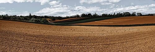 Fields Of Fall 1 Landscape Print