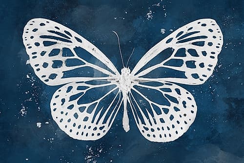 Midnight Flight Animals Print