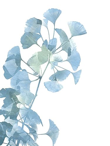 Ginko Life 1 Art Print