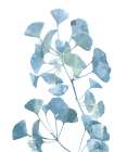 Ginko Life 2 Art Print