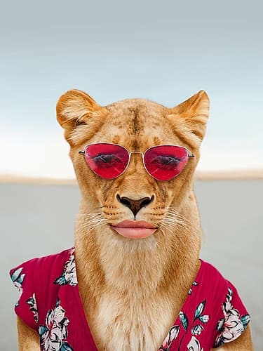 Fierce Lioness Animals Print