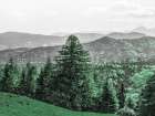 Mountain Beauty Art Print