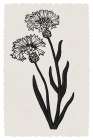 Rural Florals Art Print