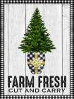 Farm Fresh Gift Art Print
