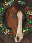 Merry Steed Art Print
