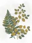 Silhouetted Vegetation 1 Botanical Print
