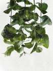 Hanging Eucalyptus Botanical Print